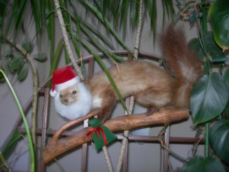Mon Pere Noel